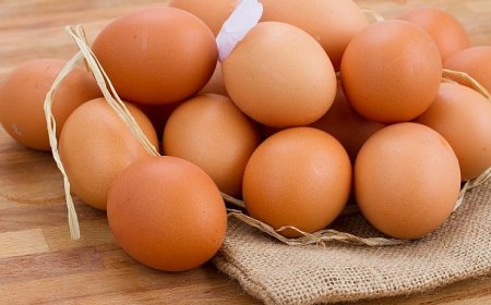 Yumurtaya getirilen 1,5 dolar fon aceleyle alınmış ihracatı durduracak bir karar