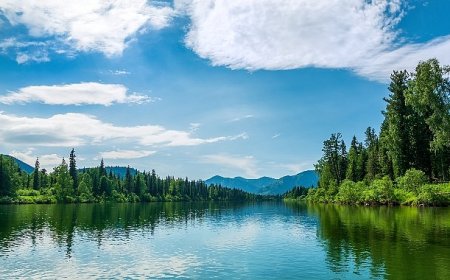 TEMA Vakfı: Ormanları ve su varlıklarını korumak artık bir tercih değil, zorunluluk