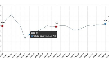 Tüketici Güven Endeksi, Mart 2025