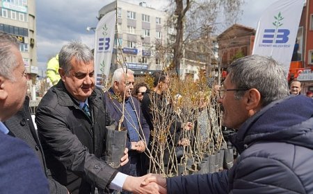 Edremit Belediyesi’nden Orman Haftası’nda ücretsiz fidanı dağıtımı