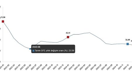 Tarımsal Girdi Fiyat Endeksi, Ocak 2025