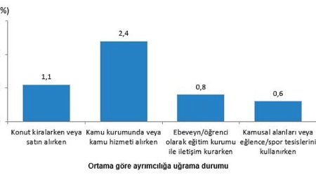 Hizmetlere Erişim ve Ayrımcılık, 2024