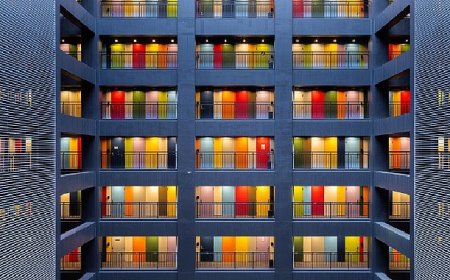 Sony dünya fotoğraf ödülleri: açık yarışma kategori kazananları ve kısa listeler belirlendi