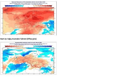 OGM: Orman Yangını Riski Kapıda!
