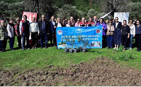 Yarımada Kadınları Sakız Ağacına Can Katıyor