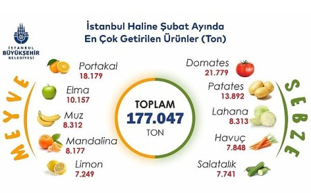 İstanbul’da şubat ayında portakal ve domates zirvede 