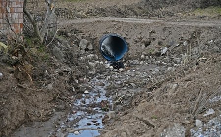 Tarım arazileri koruma altında