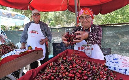Bornova’da tarımsal üretime güçlü destek   