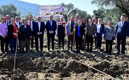İzmir’de Kadın Çiftçilere Destek: Dut Fidanları Toprakla Buluştu!