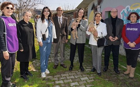 Bir patili dost edinmeye ne dersiniz?