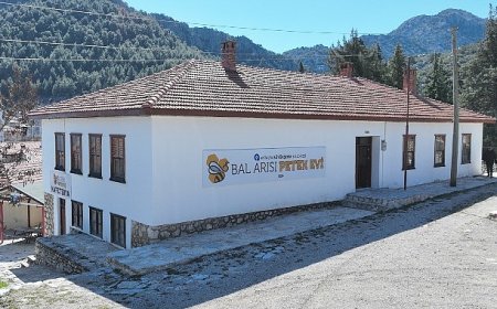 Antalya Büyükşehir Belediyesi’nin arı ve bal üreticilerine desteği sürüyor