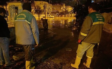 Kemer’de temizlik çalışmaları devam ediyor