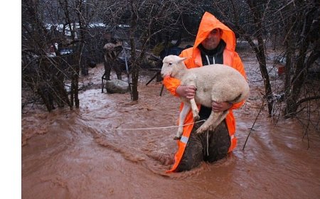 Büyükşehir ekipleri yağmur ve fırtınaya karşı seferber oldu