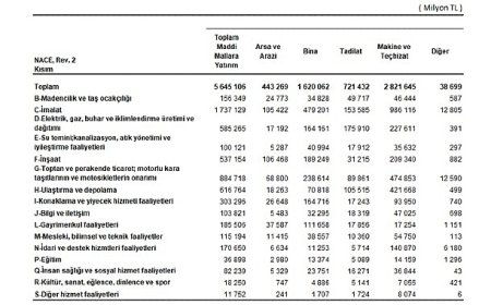 Yıllık Sanayi ve Hizmet İstatistikleri Yatırım Harcamaları, 2024