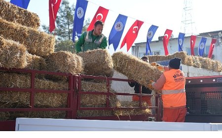 Milas Belediyesi Üreticilere Yönelik Desteklerini Sürdürüyor
