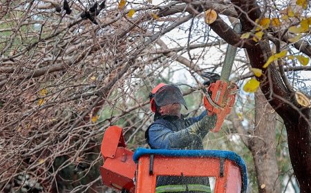 Öğrenciler tatilde, Konak Belediyesi ekipleri iş başında