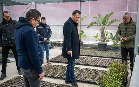 Bornova kendi yeşilini kendi üretiyor