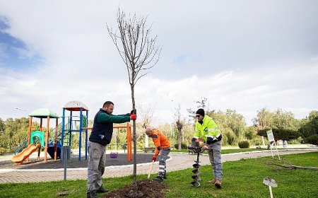 Narlıdere, Peyzaj Çalışmalarıyla Güzelleşiyor