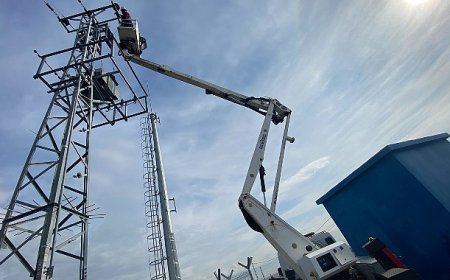 Kuşların Göç Yolculuğunda “Elektrik Çarpması Tehdidinin Önlenmesi” için Uluslararası Çalışma Başlatıldı.