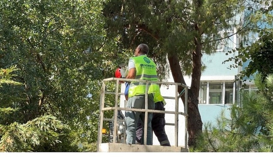 Bakırköy Belediyesi Ekipleri Kurtardı
