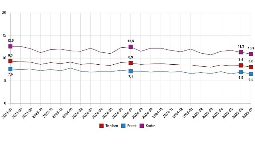 İşgücü İstatistikleri, Temmuz 2025