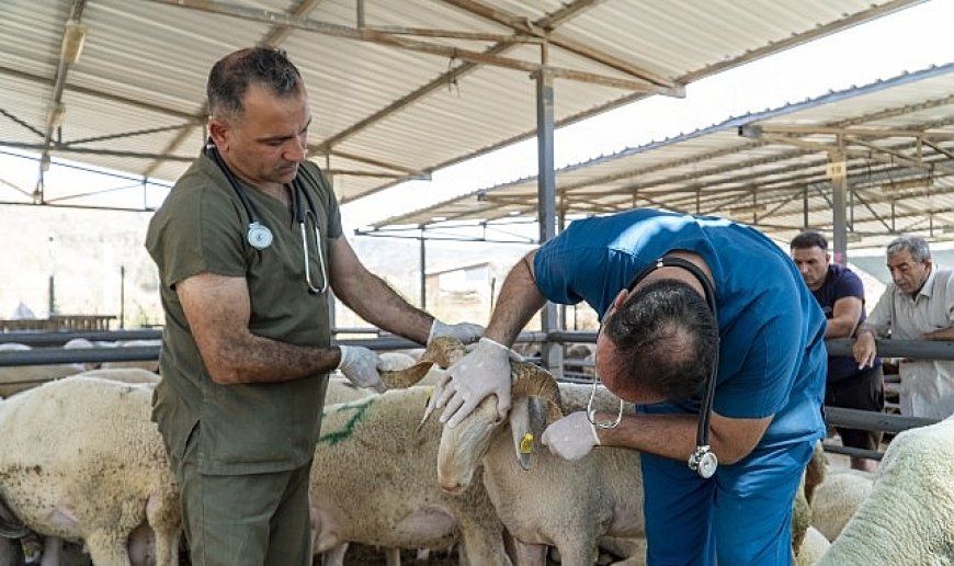 Karşıyaka, Kurban Bayramı’na hazır!