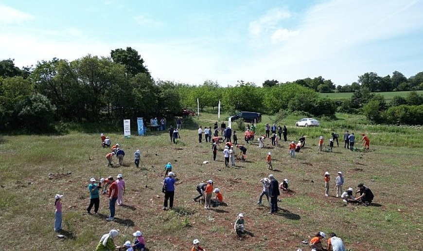 İnegöl’de Çevre Haftasında 150 Fidan Toprakla Buluştu