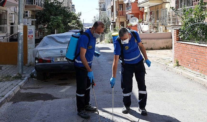 Buca’da Haşere ve Zararlılara Karşı İlaçlama Seferberliği