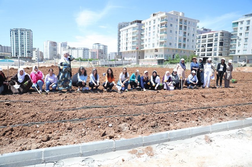 Kent Kadın Bostanları projesi Mardin Artuklu’da hayata geçti