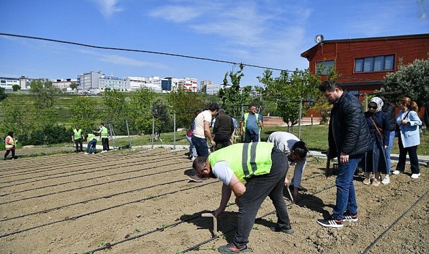 Yaşam Bahçesi yaza hazır