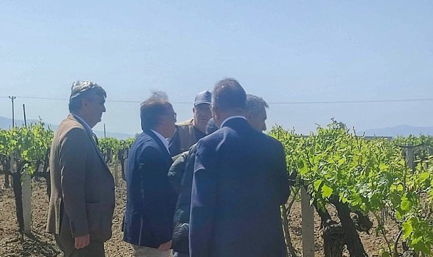 Büyükşehir’den Don Zararına Uğrayan Üreticilere Destek