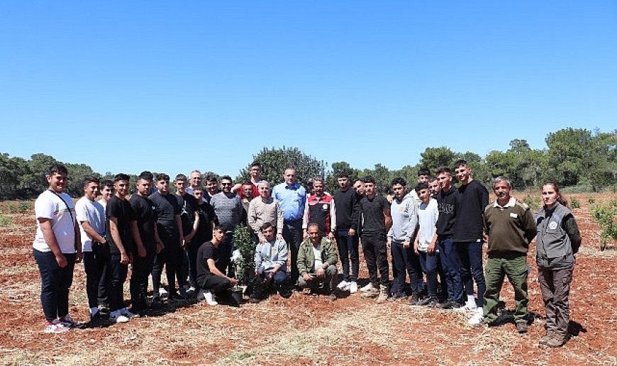 Çeşme Damla Sakızı Kıbrıs Topraklarında