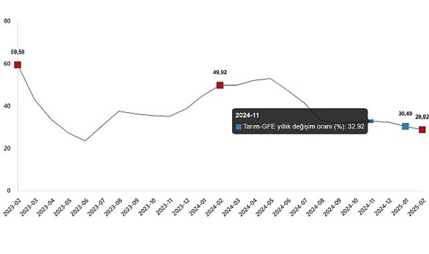 Tarımsal Girdi Fiyat Endeksi, Şubat 2025