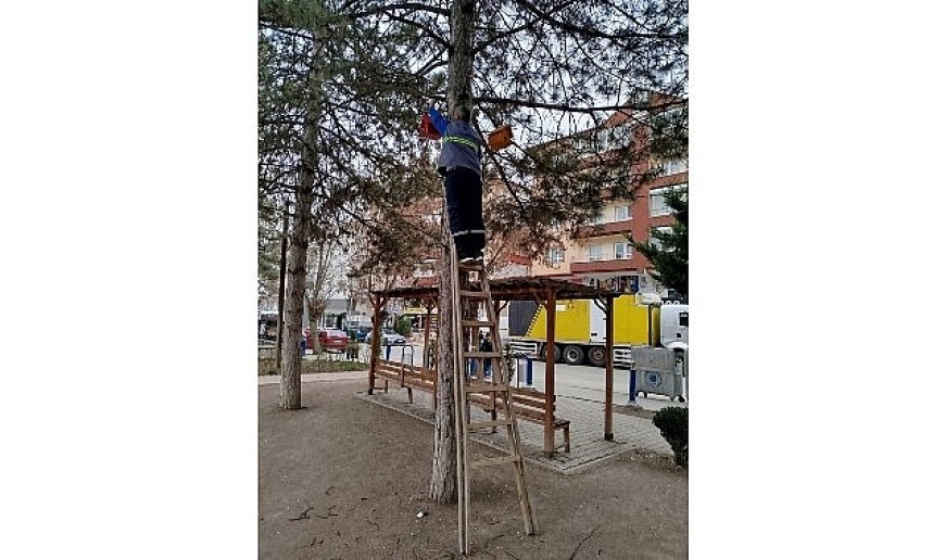 Kuşlara Yeni Yuvalar