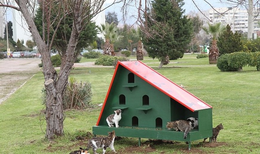 Karşıyaka Belediyesi’nden sahipsiz hayvanlar için örnek uygulama