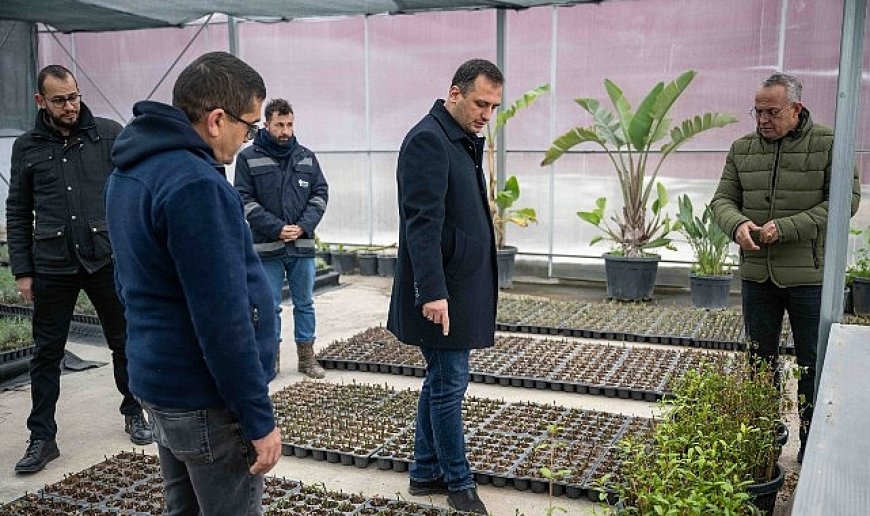 Bornova kendi yeşilini kendi üretiyor