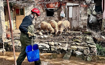 Büyükşehir ekipleri tüm canlılar için aynı özveriyle çalışıyor