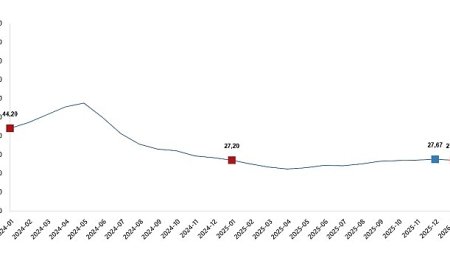 Yurt İçi Üretici Fiyat Endeksi, Ocak 2026