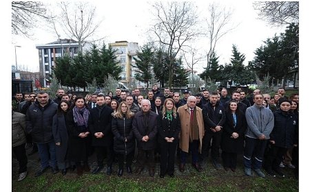 Bakırköy’de 11 İli Temsilen 11 Zeytin Fidanı Dikildi