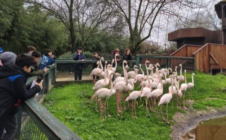 Doğa dedektifleri iz peşinde