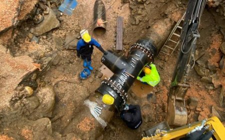 Pınar kaynakları Bursa'nın geleceğine akıyor