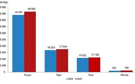 Hayvansal Üretim İstatistikleri, 2025