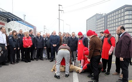 Hızır 41, 1 yaşında milyonlara ulaştı
