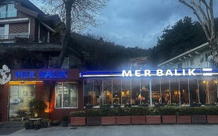 İstanbul’un Deniz Mutfağında Öne Çıkan Lezzet Noktası: Mer Balık