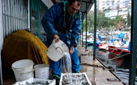 Balık sizden, mazot bizden