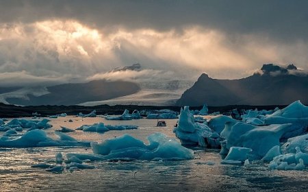 Dr. Tunçez; “İklim Değişikliği ile Mücadelede, Geleceğimiz İçin Bugünden Harekete Geçmeliyiz”