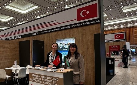 Türkiye’nin Türkmenistan’a ihracatı 1 milyar doları aştı