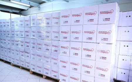 Osmangazi’de Ramazan Kolisi Dağıtımı Devam Ediyor