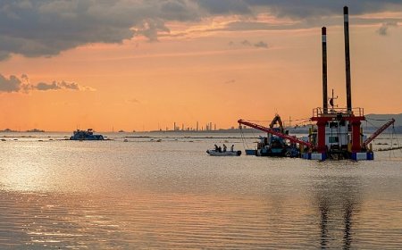 Deniz temizleniyor, ekosistem güçleniyor