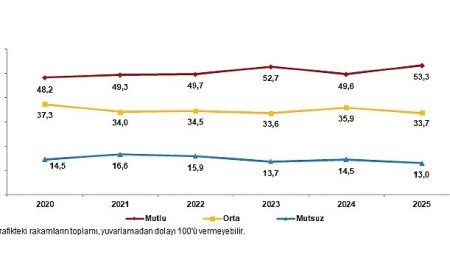 Yaşam Memnuniyeti Araştırması, 2025